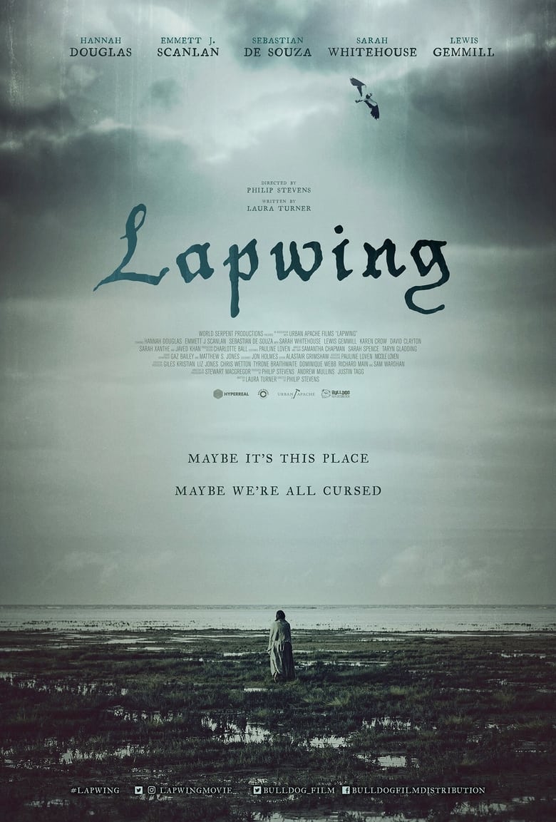 affiche du film Lapwing