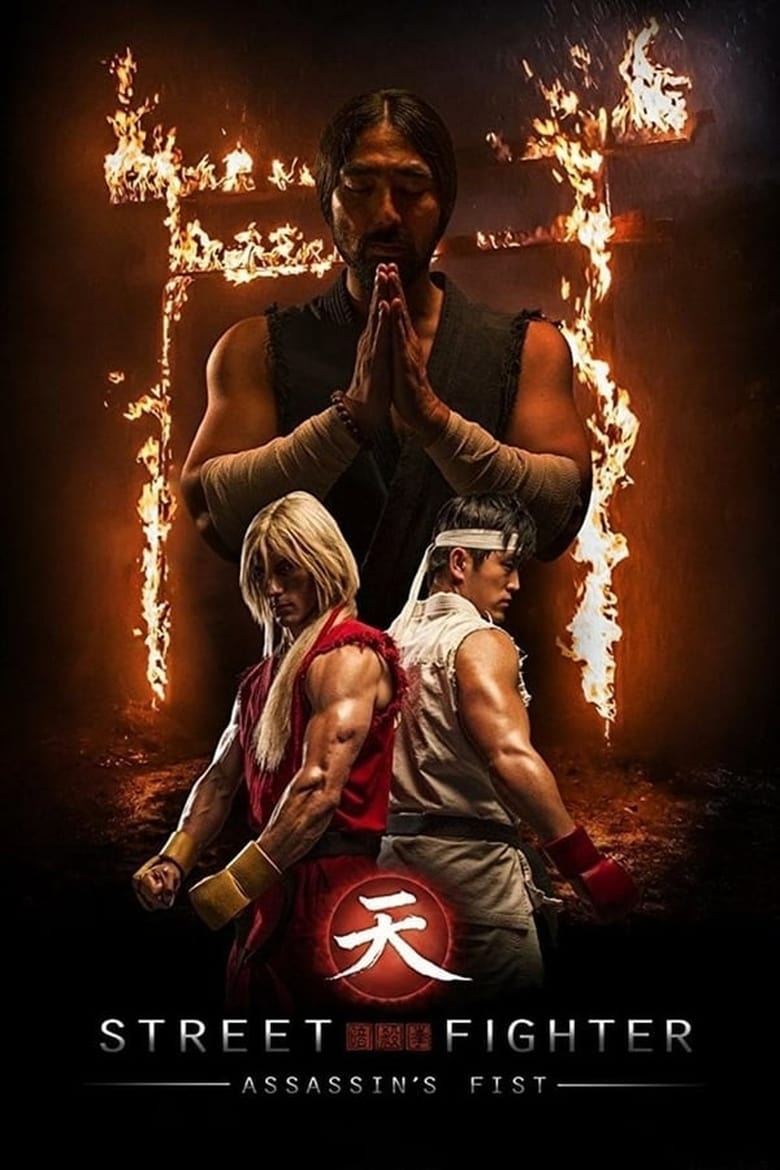 affiche du film Street Fighter : Assassin's Fist