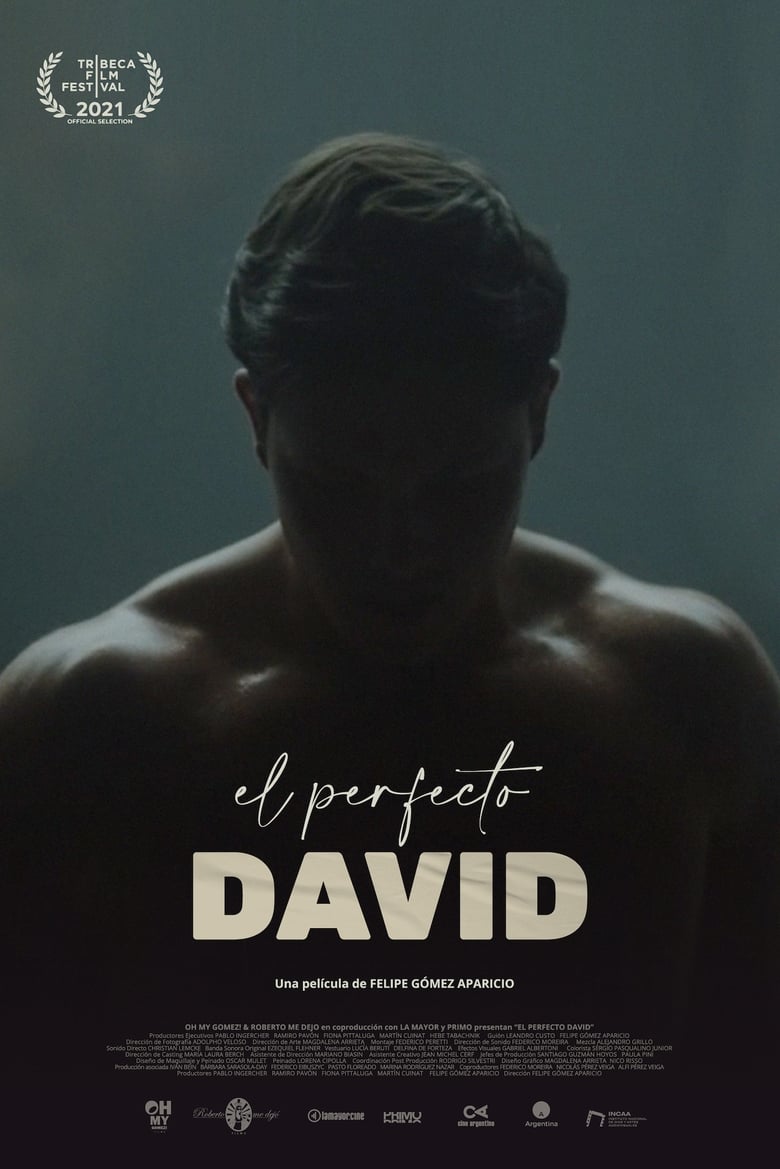 affiche du film El perfecto David
