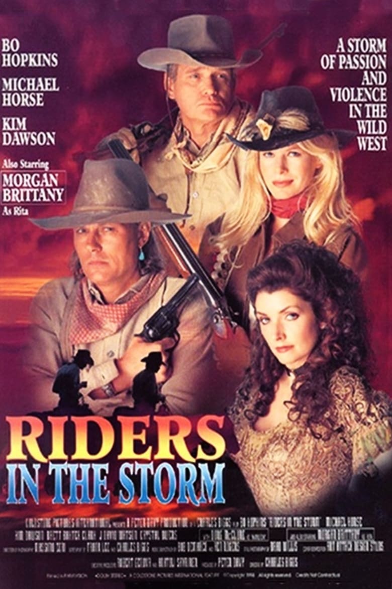 affiche du film Riders in the Storm