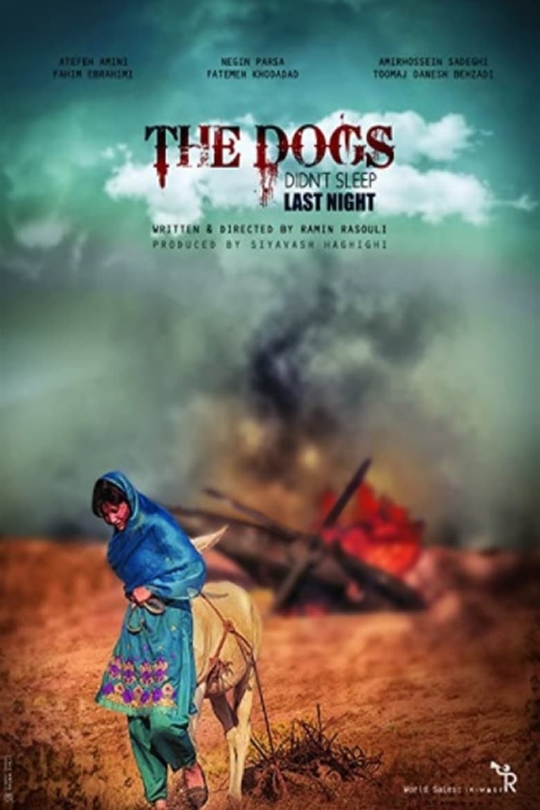 affiche du film The Dogs Didn't Sleep Last Night