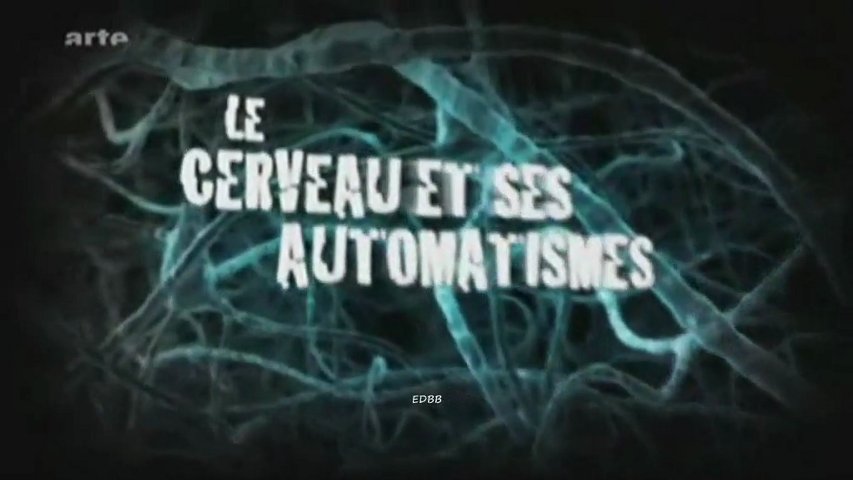 affiche du film Le Cerveau et ses Automatismes