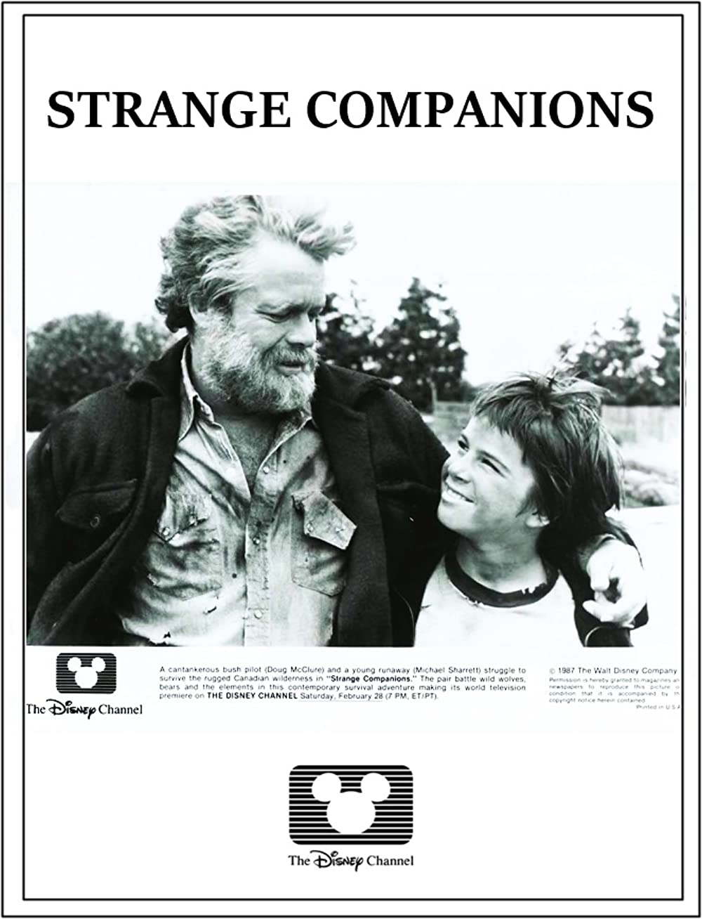affiche du film Strange Companions
