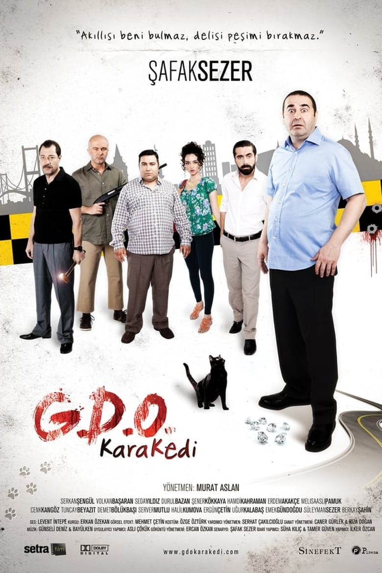 affiche du film G.D.O. KaraKedi