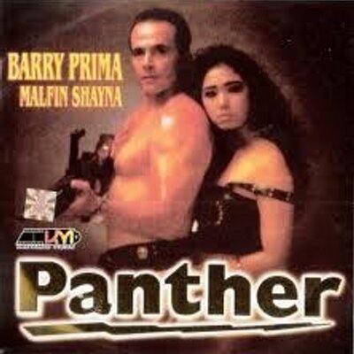 affiche du film Panther