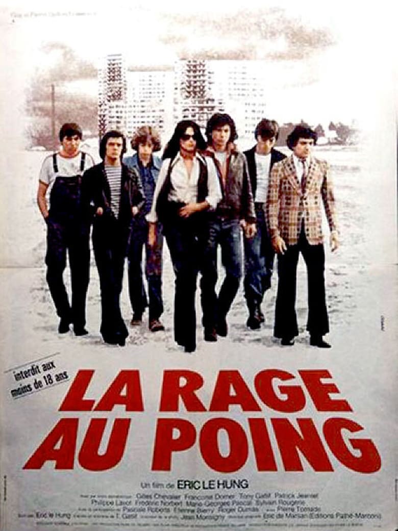 affiche du film La Rage au poing
