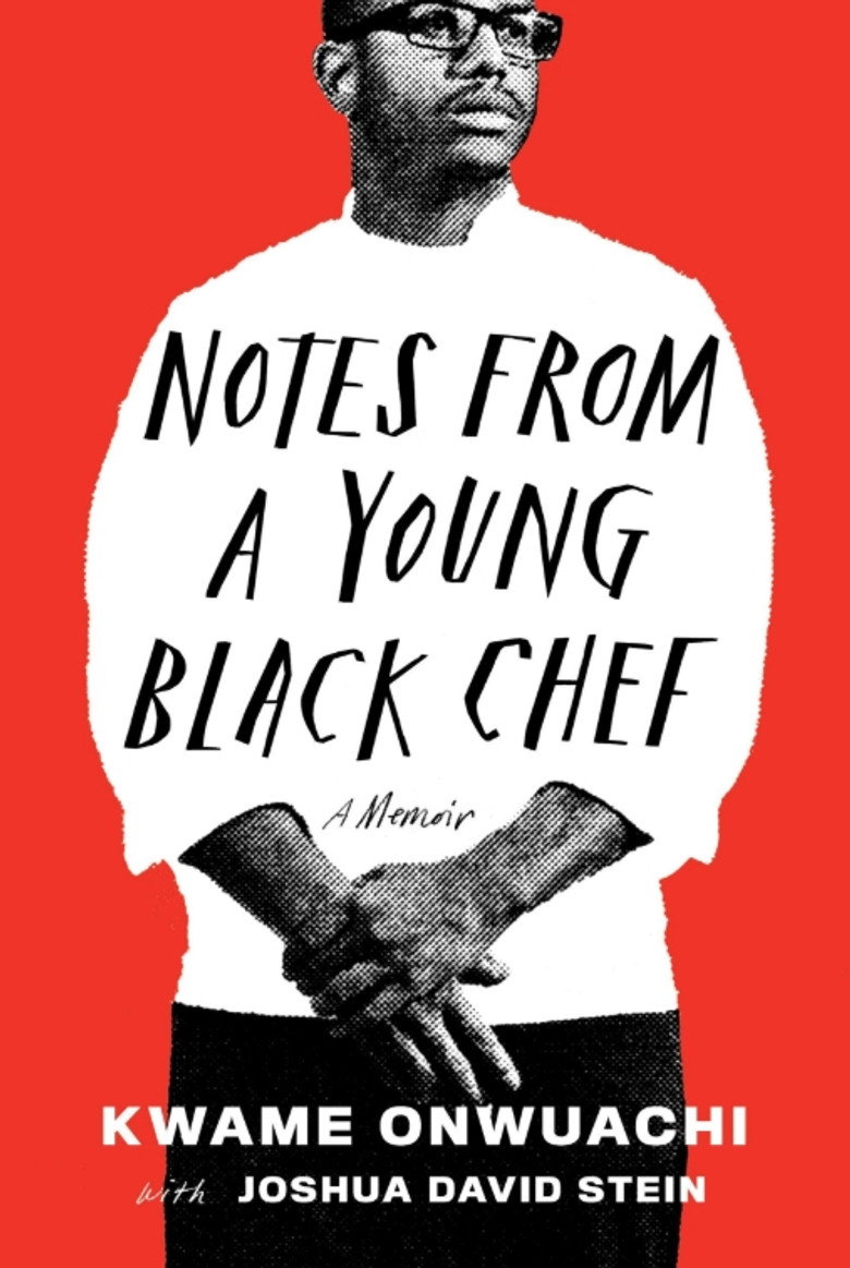 affiche du film Notes from a Young Black Chef