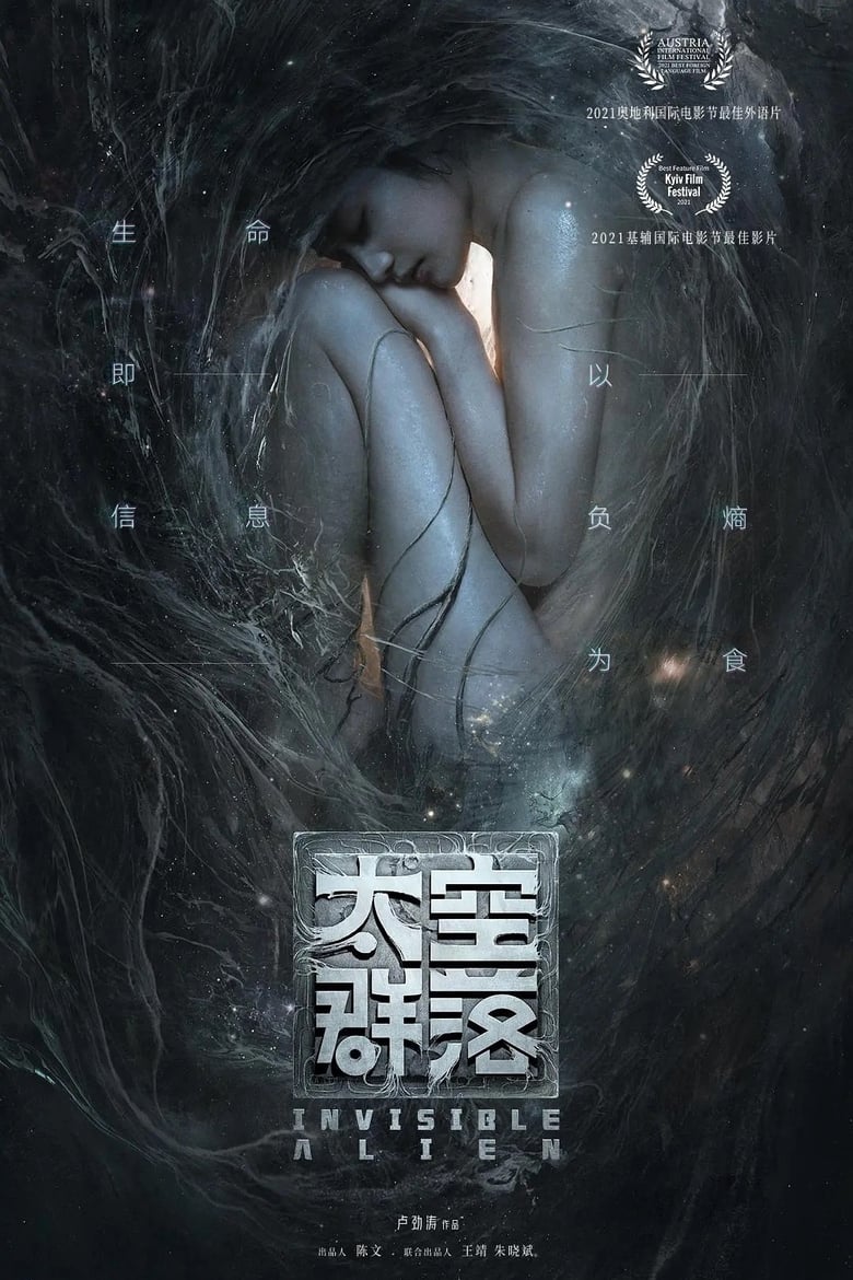 affiche du film Invisible Alien