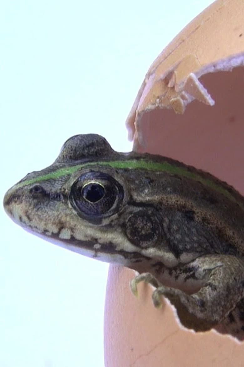 affiche du film Le poireau perpétuel