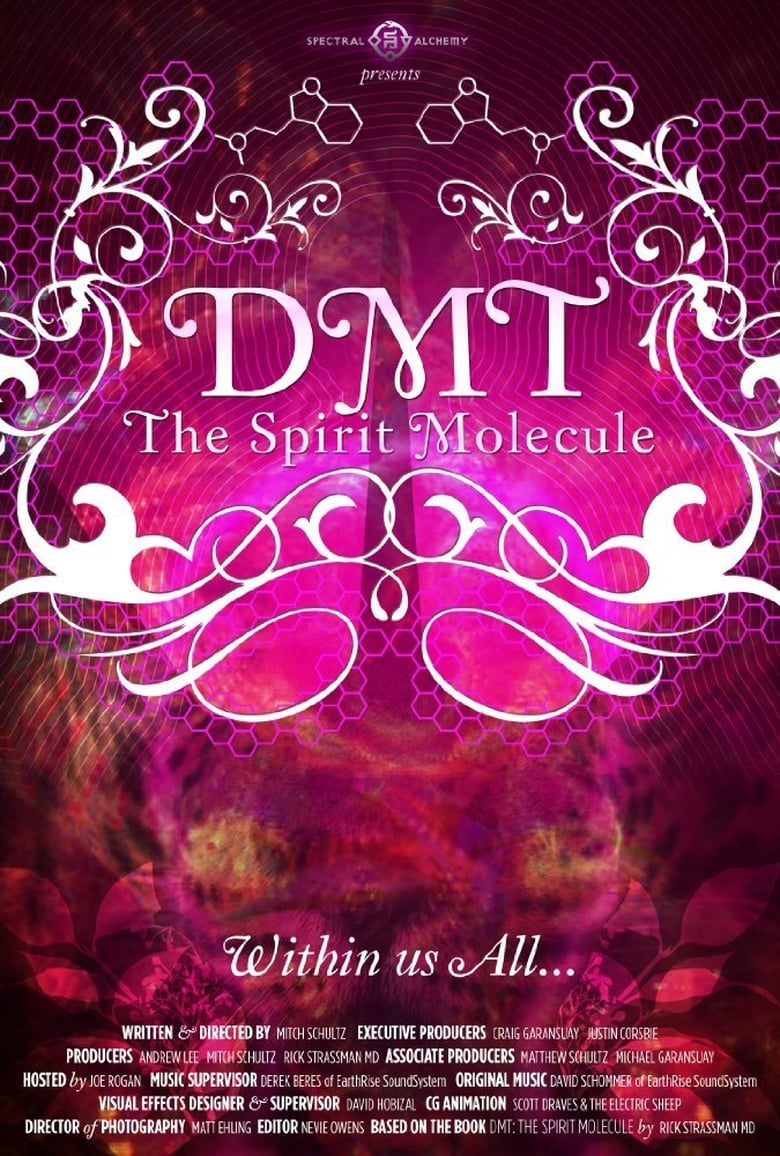 affiche du film DMT: The Spirit Molecule