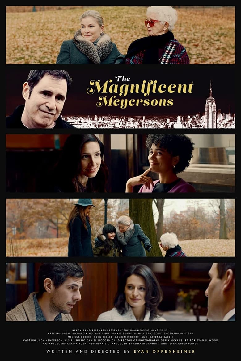 affiche du film The Magnificent Meyersons