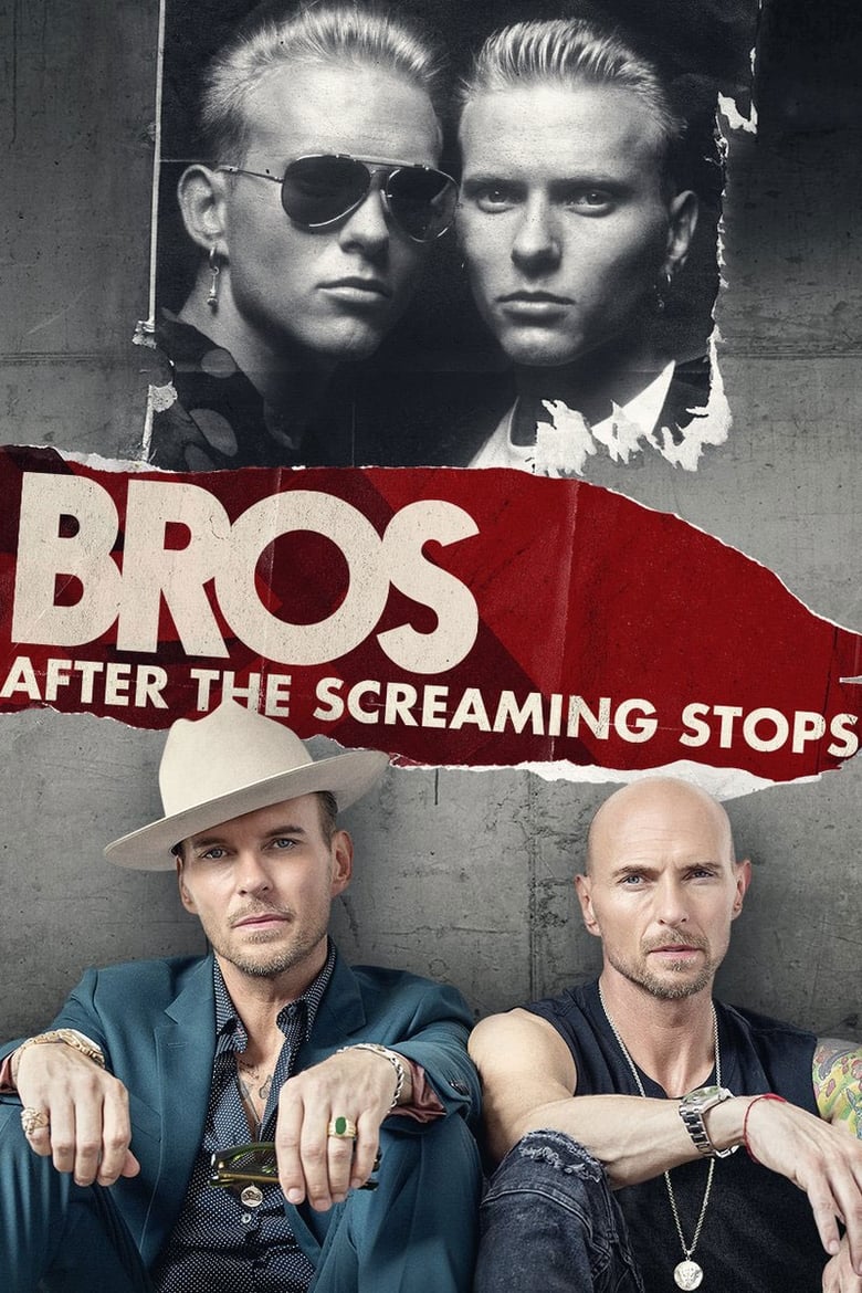 affiche du film After the Screaming Stops