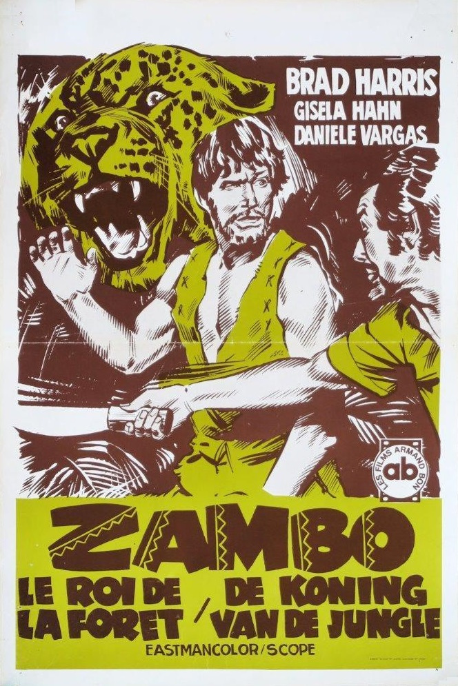 affiche du film Zambo