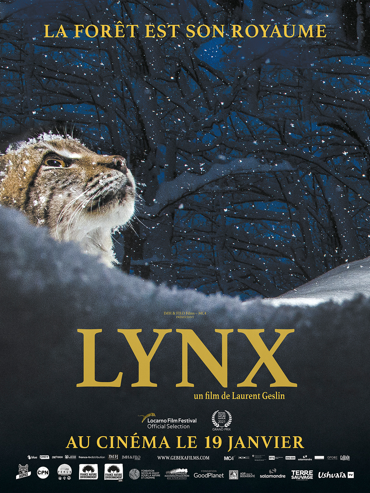 affiche du film Lynx