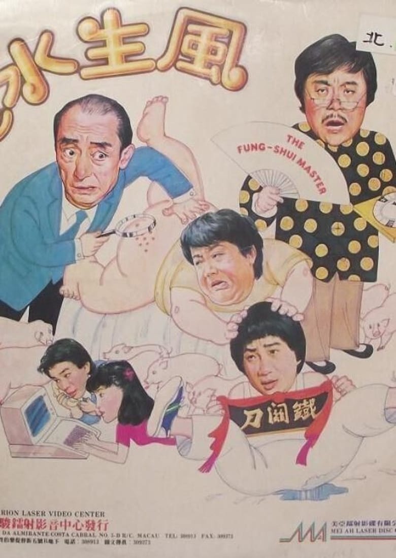 affiche du film The Fung-shui Master