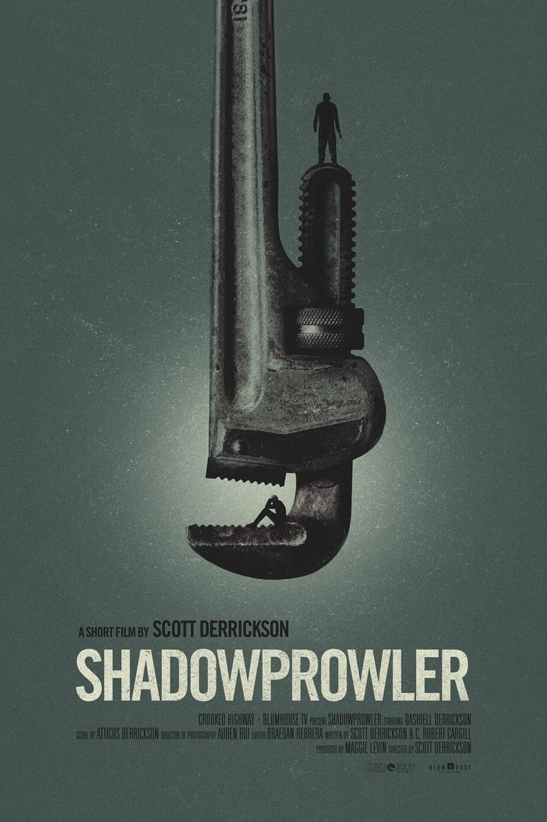 affiche du film Shadowprowler
