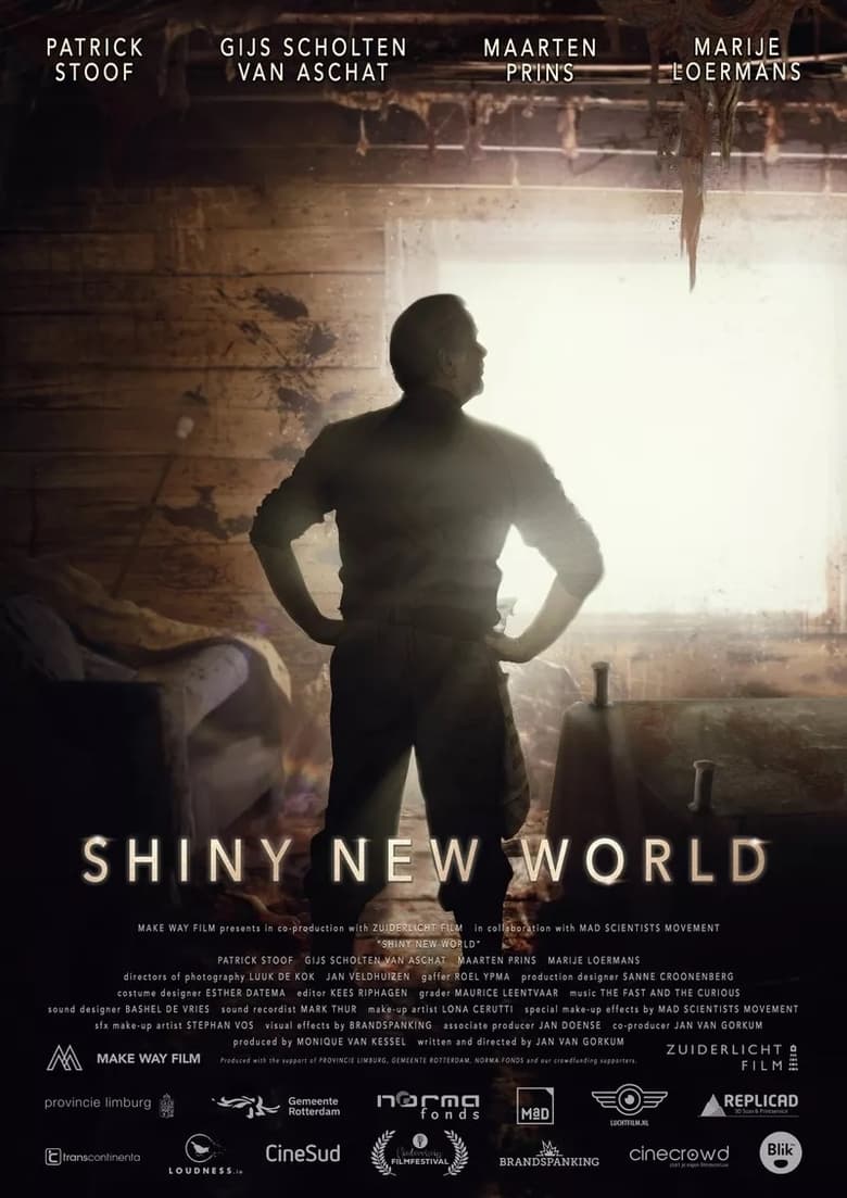 affiche du film Shiny New World
