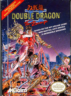 jaquette du jeu vidéo Double Dragon II : The Revenge