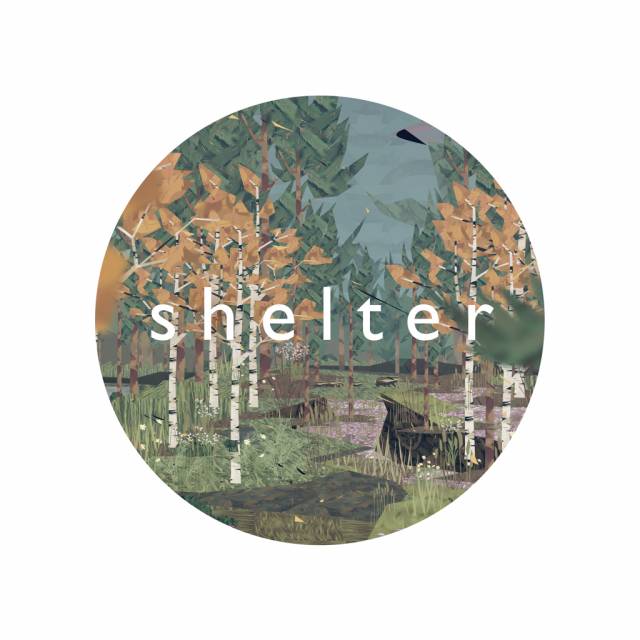 jaquette du jeu vidéo Shelter