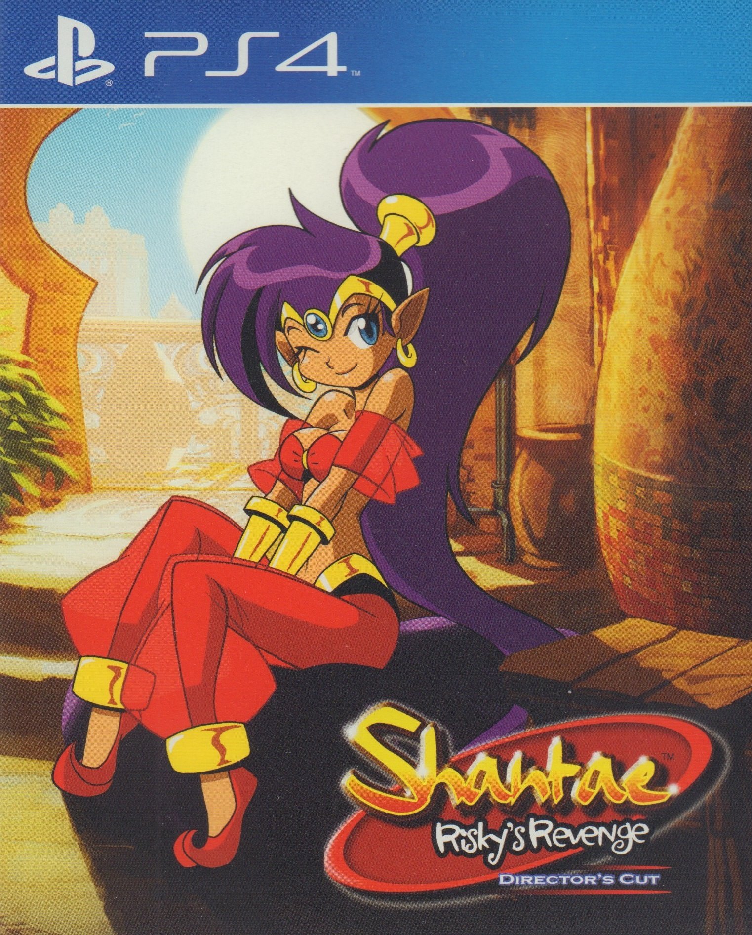 Shantae risky s revenge прохождение