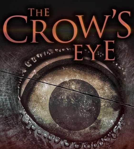 jaquette du jeu vidéo The Crow's Eye