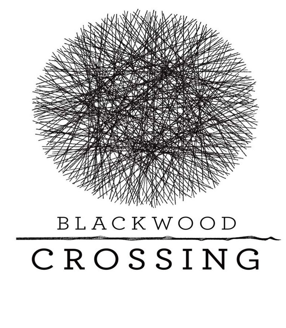jaquette du jeu vidéo Blackwood Crossing