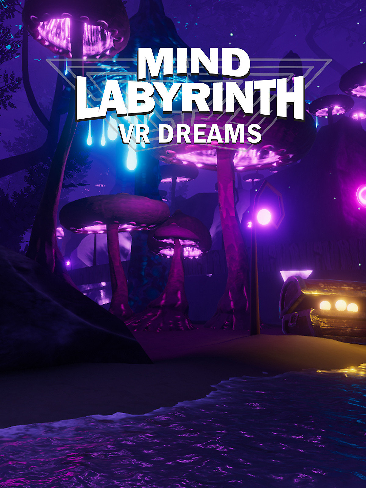 jaquette du jeu vidéo Mind Labyrinth VR Dreams