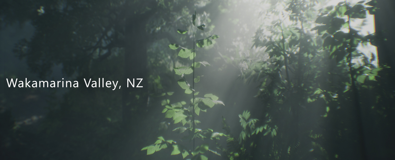 jaquette du jeu vidéo Wakamarina Valley, New Zealand
