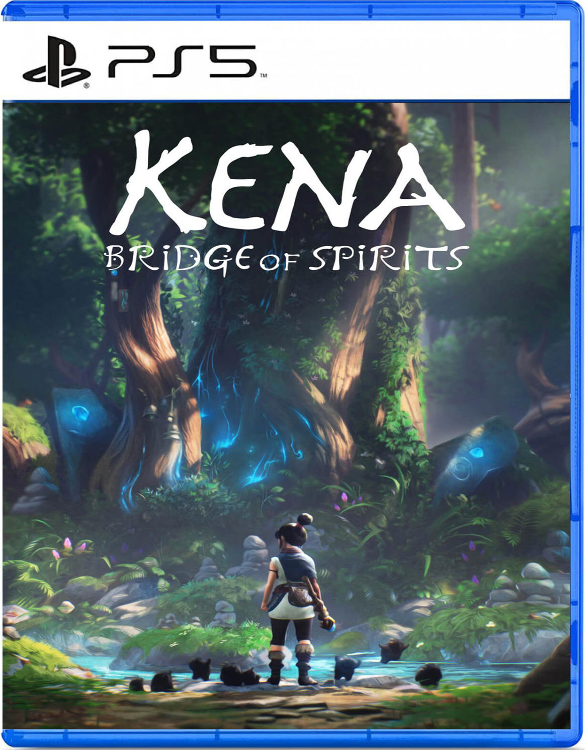 jaquette du jeu vidéo Kena : Bridge of Spirits