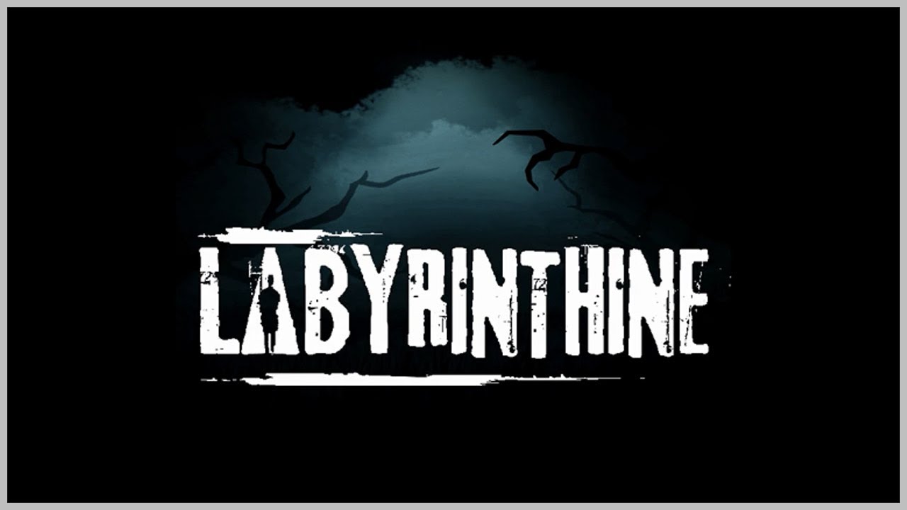 jaquette du jeu vidéo Labyrinthine