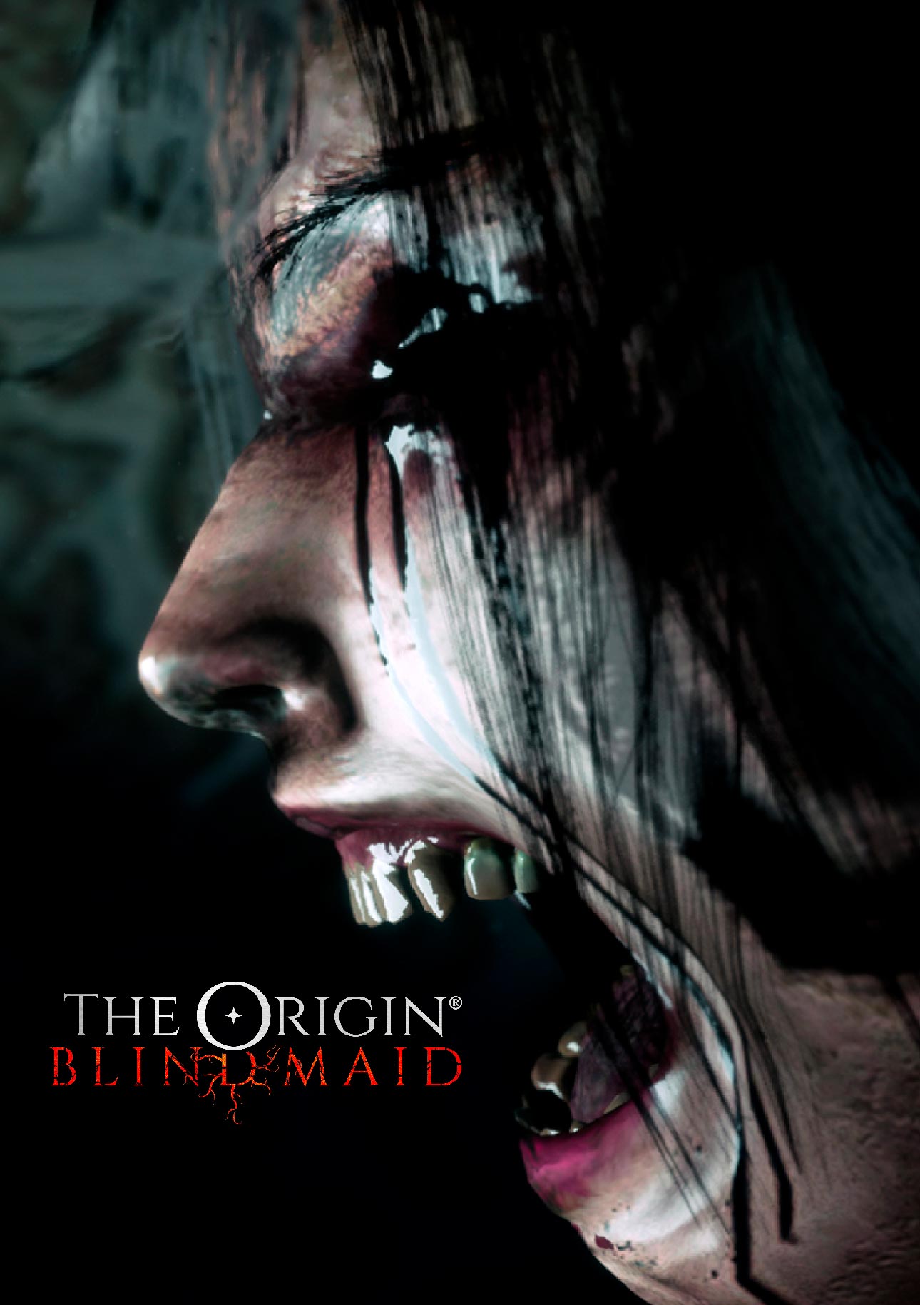 jaquette du jeu vidéo The Origin: Blind Maid