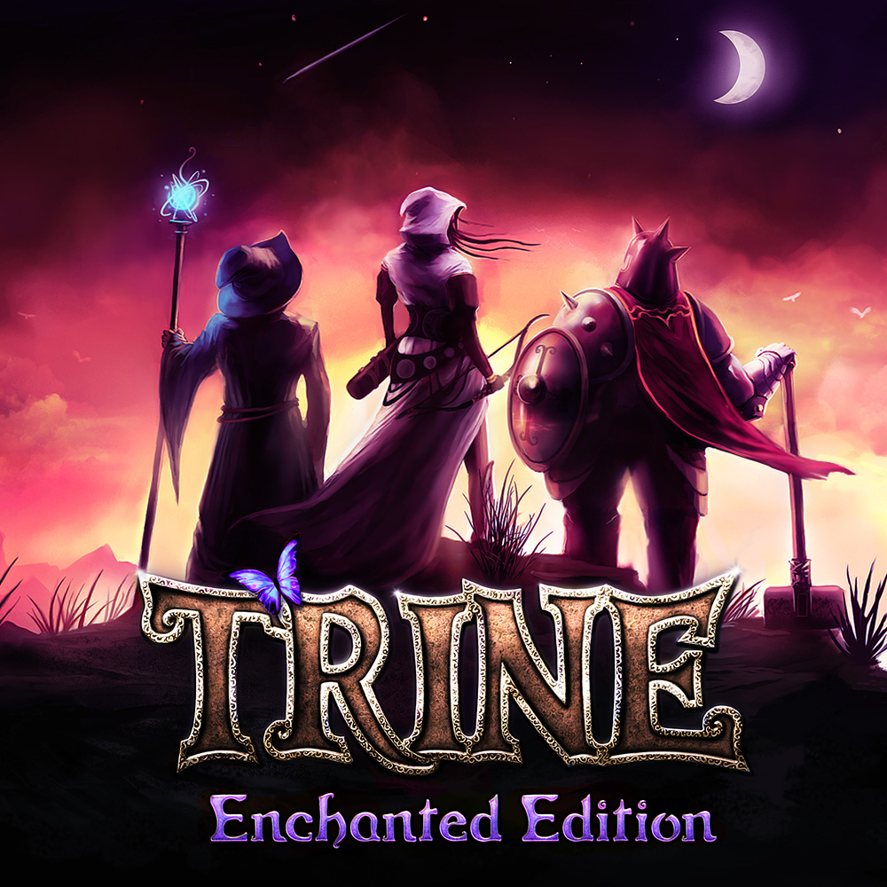 jaquette du jeu vidéo Trine Enchanted Edition