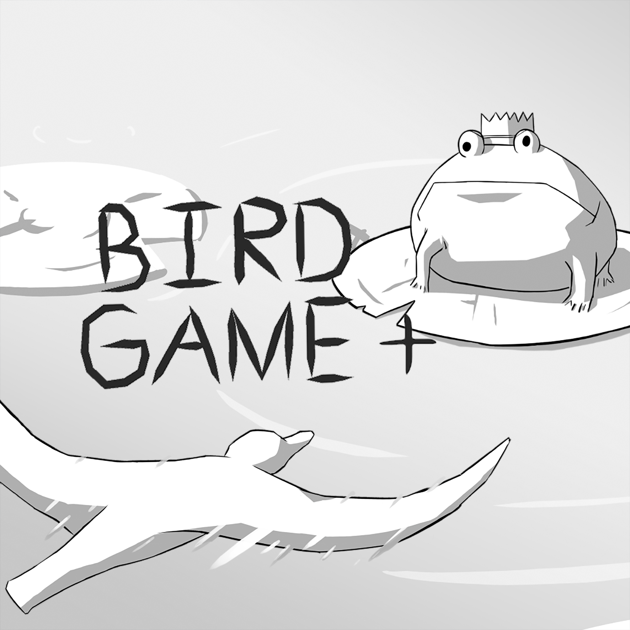 jaquette du jeu vidéo Bird Game +