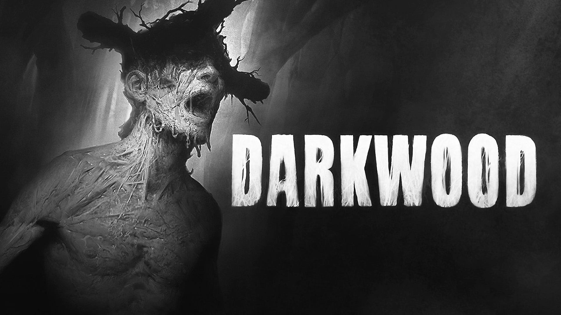 jaquette du jeu vidéo Darkwood
