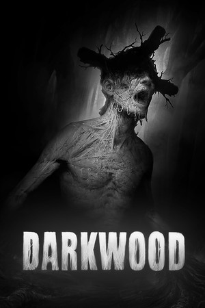 jaquette du jeu vidéo Darkwood