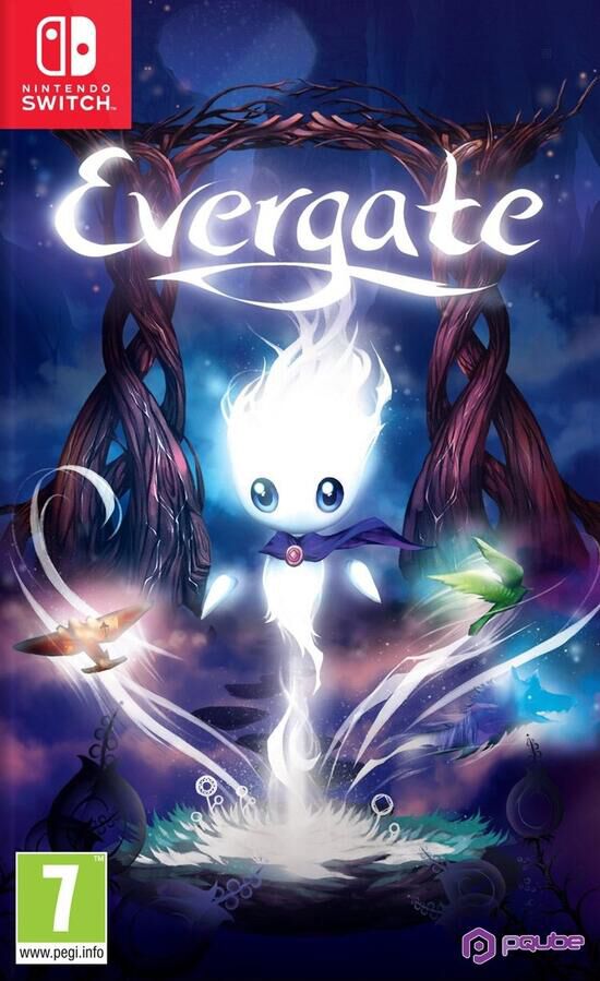 jaquette du jeu vidéo Evergate