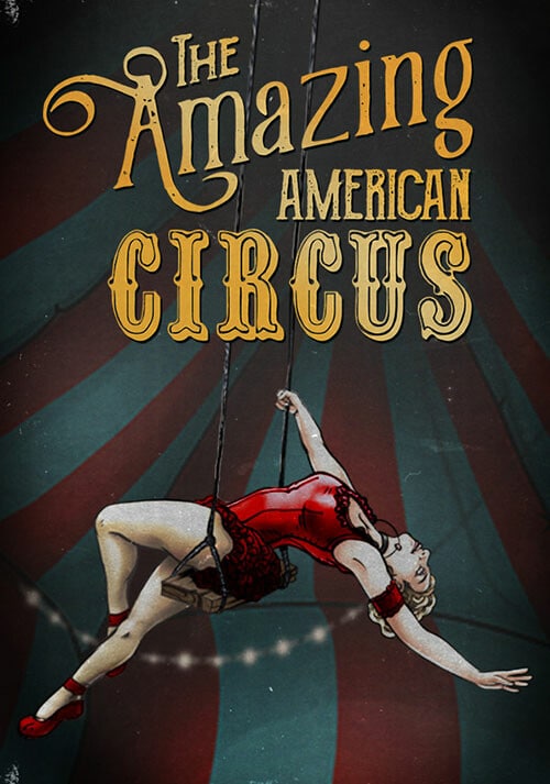 jaquette du jeu vidéo The Amazing American Circus