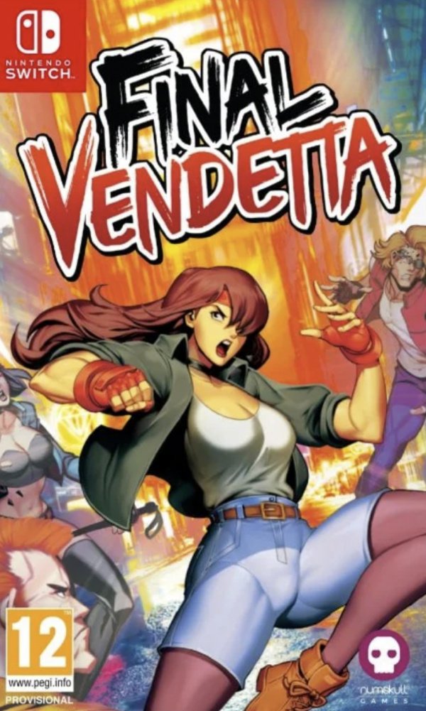 jaquette du jeu vidéo Final Vendetta