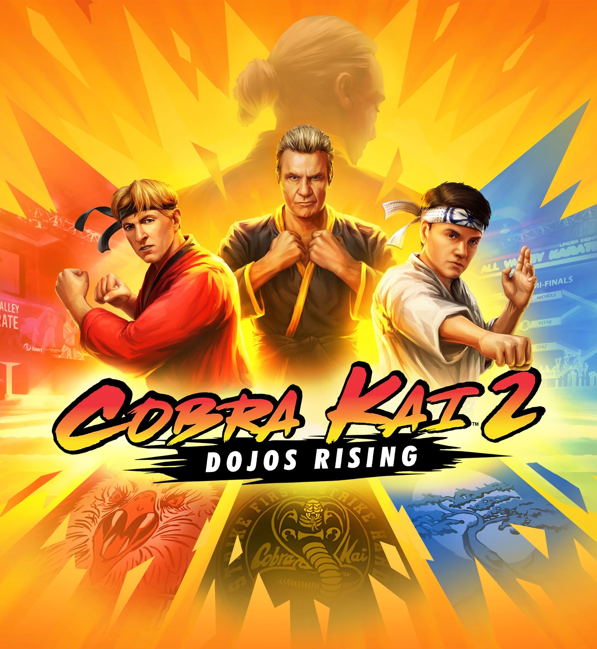 jaquette du jeu vidéo Cobra Kai 2 - Dojos Rising