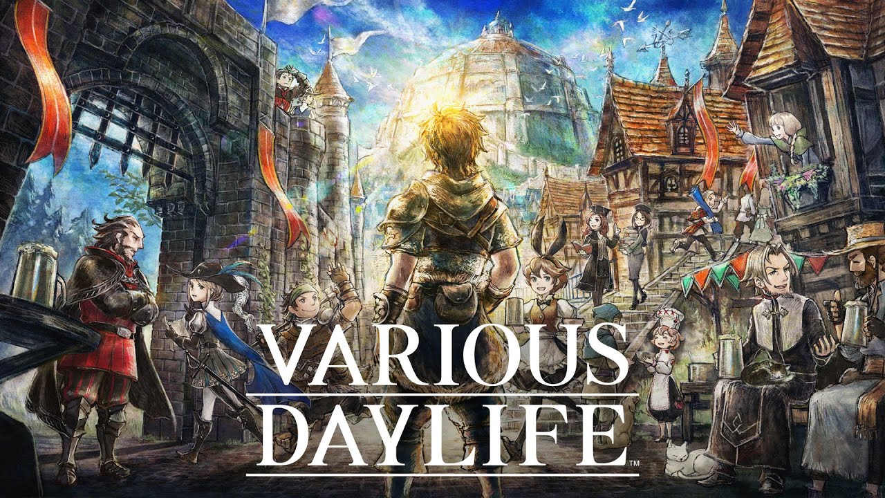 jaquette du jeu vidéo Various Daylife