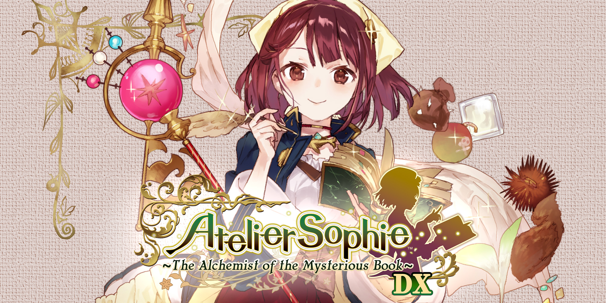 jaquette du jeu vidéo Atelier Sophie: The Alchemist of the Mysterious Book DX