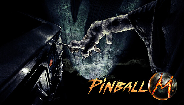 jaquette du jeu vidéo Pinball M