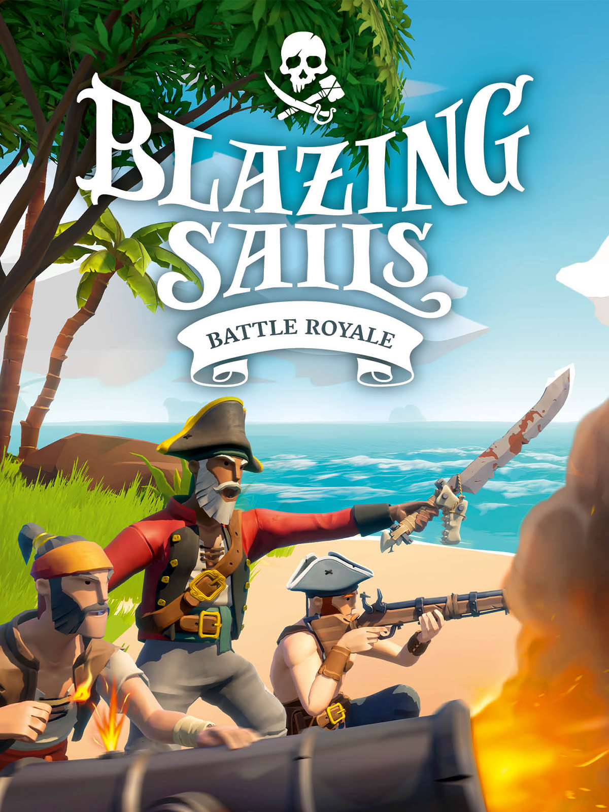 jaquette du jeu vidéo Blazing Sails