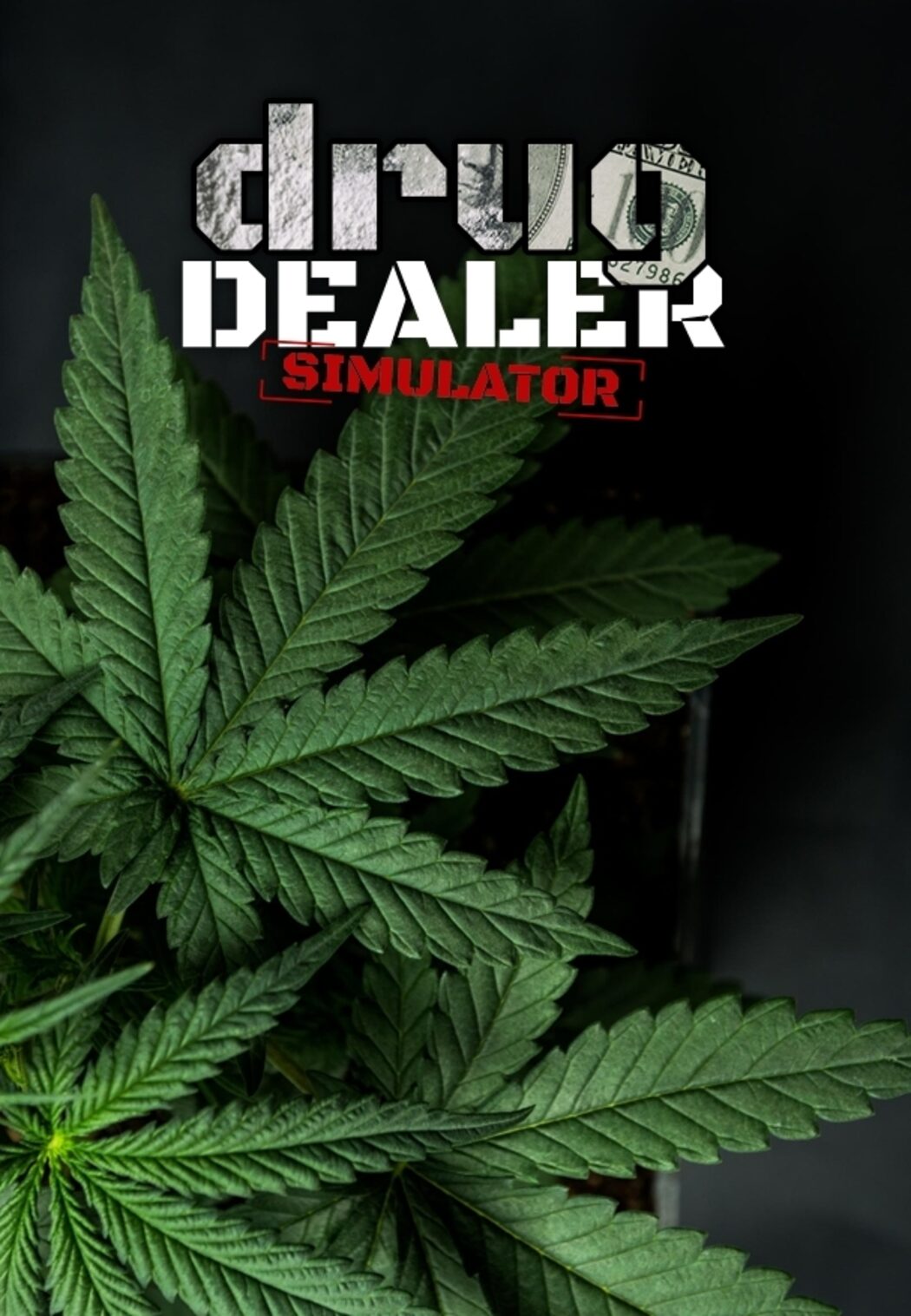 jaquette du jeu vidéo Drug Dealer Simulator