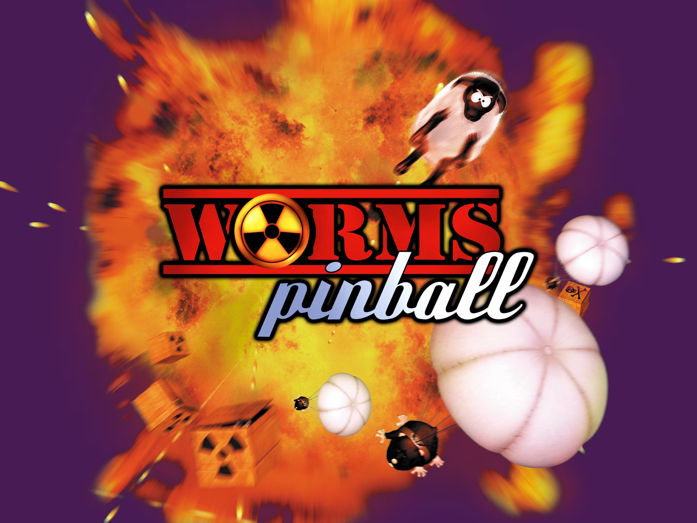 jaquette du jeu vidéo Worms Pinball