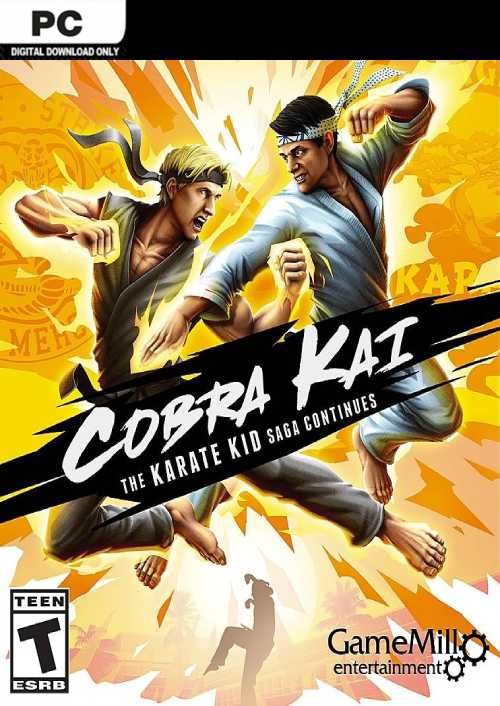 jaquette du jeu vidéo Cobra Kai : The Karate Kid Continues