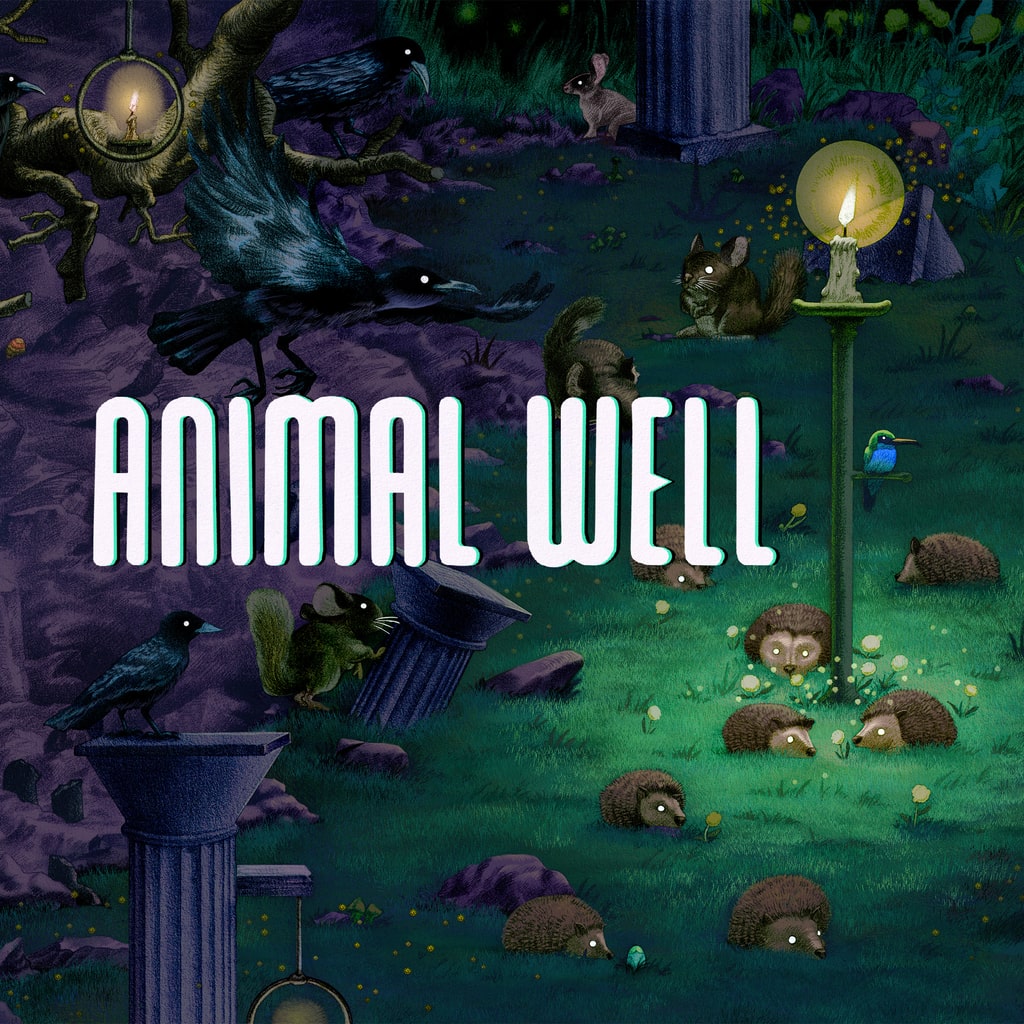 jaquette du jeu vidéo Animal well