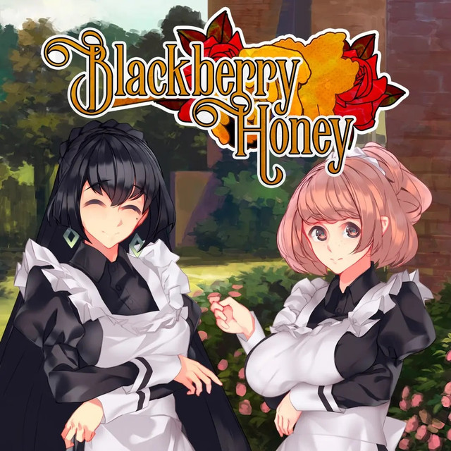 jaquette du jeu vidéo Blackberry Honey