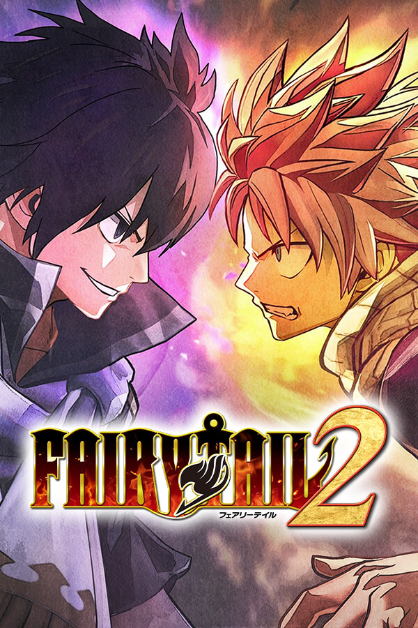 jaquette du jeu vidéo Fairy Tail 2