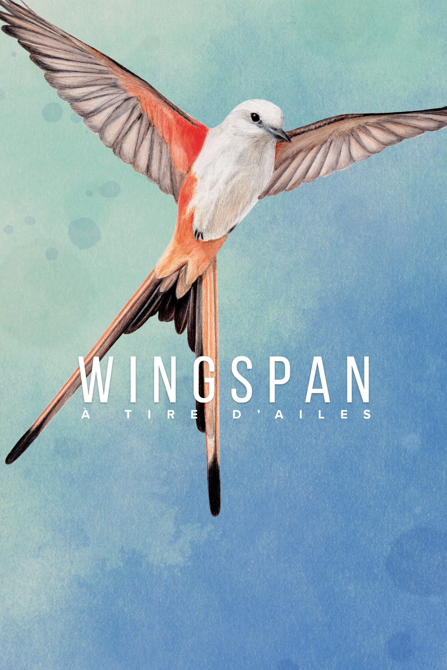 jaquette du jeu vidéo Wingspan (à tire d'ailes)